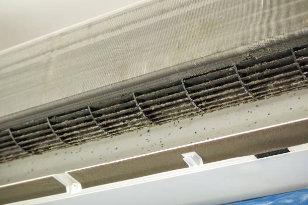 Best Professional Duct Cleaning Services  in USA